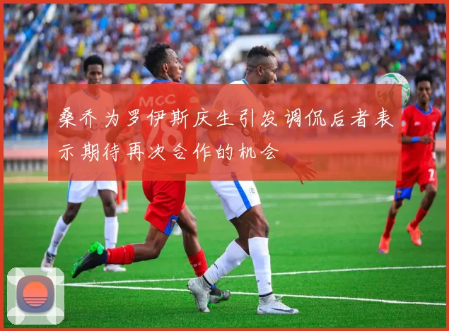桑乔为罗伊斯庆生引发调侃后者表示期待再次合作的机会
